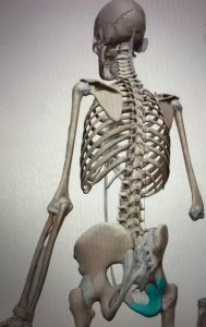 イメージを具体化して学ぶ