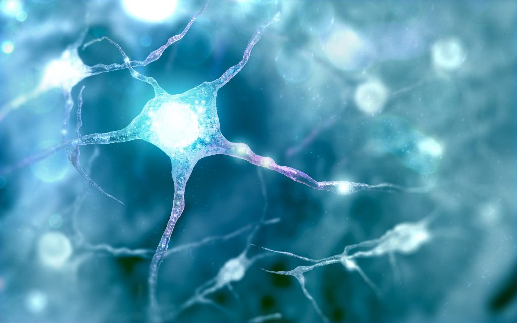 現役医師へインタビューヨガと医療の可能性 vol.1